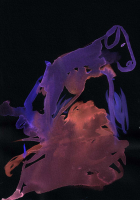 http://actionaqua.com/files/gimgs/th-114_20250513DJI0004-05 invert.jpg